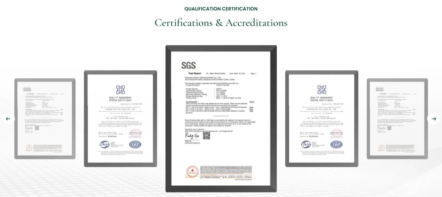 Supporting SGS certification document